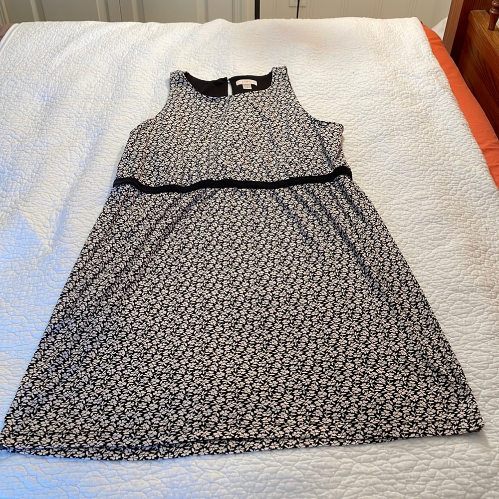 Ann Taylor Loft dress. Xl